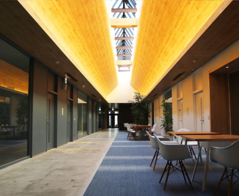 天井の窓から自然光が降り注ぐ、開放的な木目調のラウンジ通路。