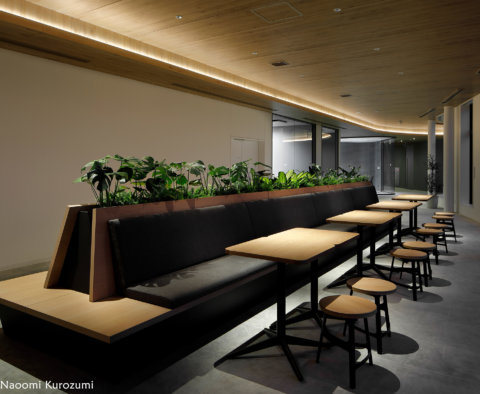 植物が配されたロングソファと、間接照明が温かいカフェのような休憩スペース。